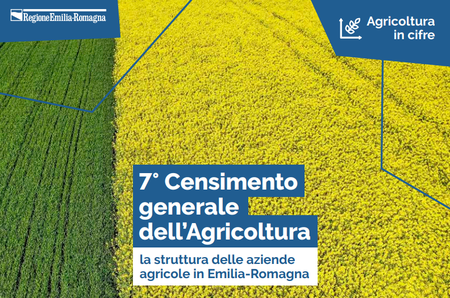 7° Censimento generale dell'agricoltura: la struttura delle aziende agricole in Emilia-Romagna