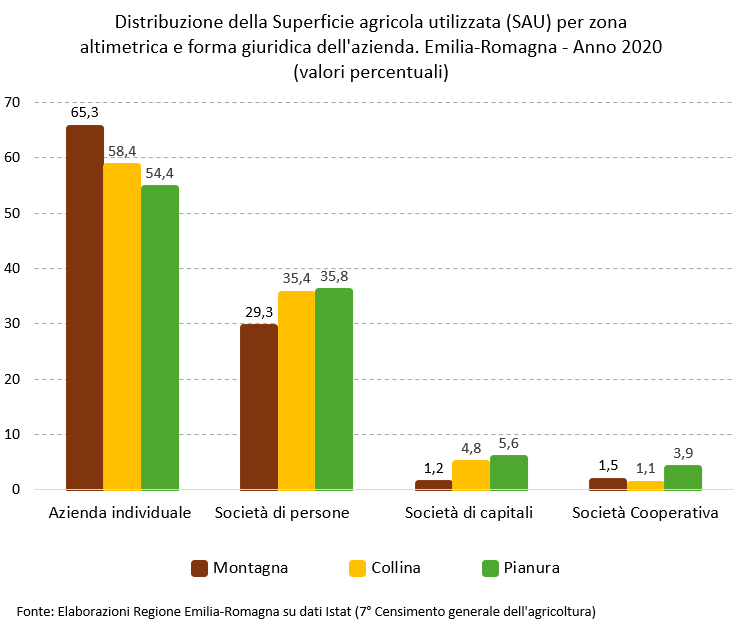 Grafico: Distribuzione della Superficie agricola utilizzata (SAU) per forma giuridica dell'azienda e per zona altimetrica. Emilia-Romagna - Anno 2020 (valori percentuali). I dati rappresentati nel grafico sono tutti riportati nella tabella allegata in foglio elettronico (Dati Superficie agricola utilizzata per forma giuridica dell'azienda e zona altimetrica. Emilia-Romagna - Anno 2020 (valori assoluti in ettari)). Nel testo della news è descritto l'andamento generale del fenomeno.